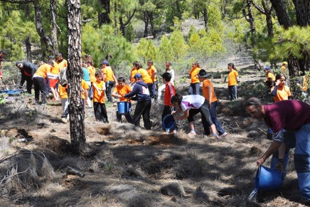 Escolares de la isla participan en un programa de educación ambiental en el Parque Nacional de La Caldera de Taburiente