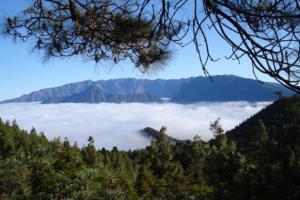 Se constituye el nuevo Consejo Científico de la Reserva Mundial de la Biosfera La Palma