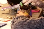 Taller infantil de arte floral