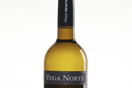 Los vinos Vega Norte, premio tras premio. Esta vez en Salamanca