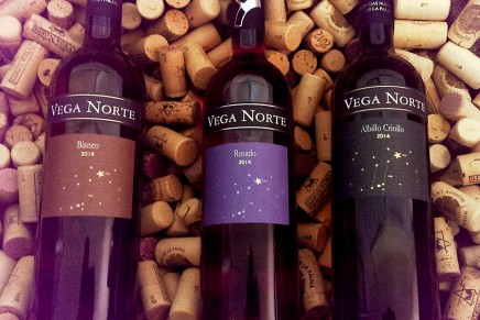 Vinos Vega Norte