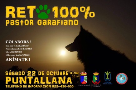 Intentan batir un récord Guinness para promocionar al perro Pastor Garafiano