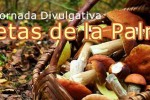 Jornadas divulgativas sobre setas de La Palma en Garafía y Puntagorda