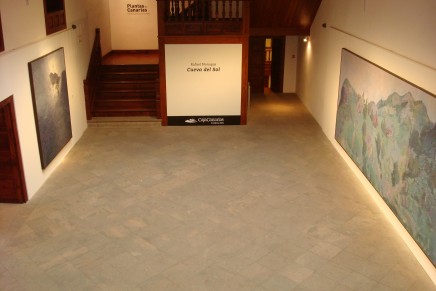 La Fundación CajaCanarias inaugura la exposición “Rafael Monagas. Cueva del Sol” en su Espacio Cultural de La Palma