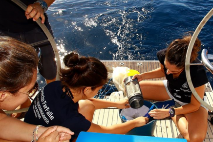 Proyecto FarFalle,  viajes en velero en las Islas Canarias que unen el turismo y la concienciación por los océanos