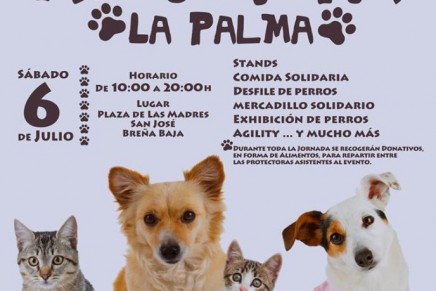 Feria Adopta La Palma 2019