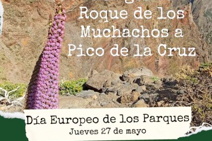 Ruta guiada: Roque de Los Muchachos – Pico de La Cruz